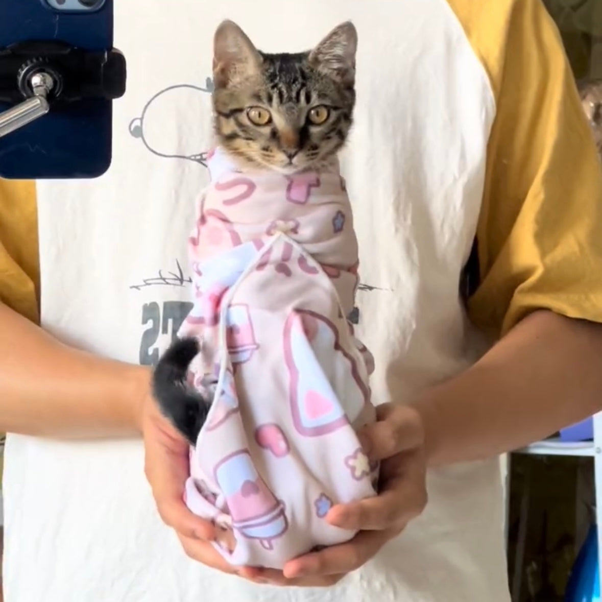 Self-Adhesive Cat Grooming Wrap