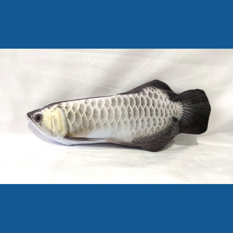 Electric Silver Arowana