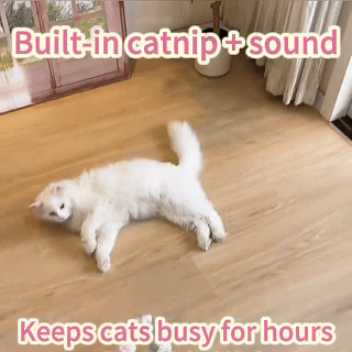 Interactive Cat Jingle Toy — Keeps Cats Busy & Happy