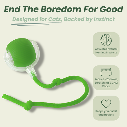 Magic Ball with Lights - Rechargeable, cat's favorite toy!