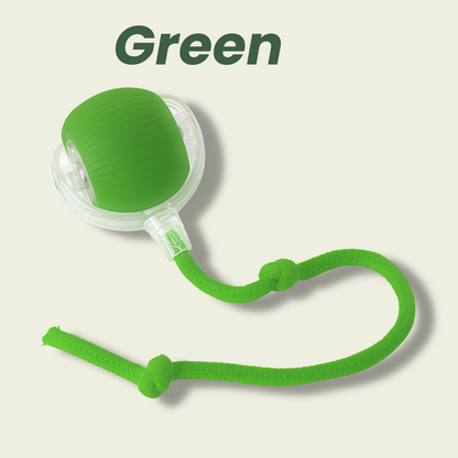 Magic Ball with Lights - Rechargeable, cat's favorite toy!