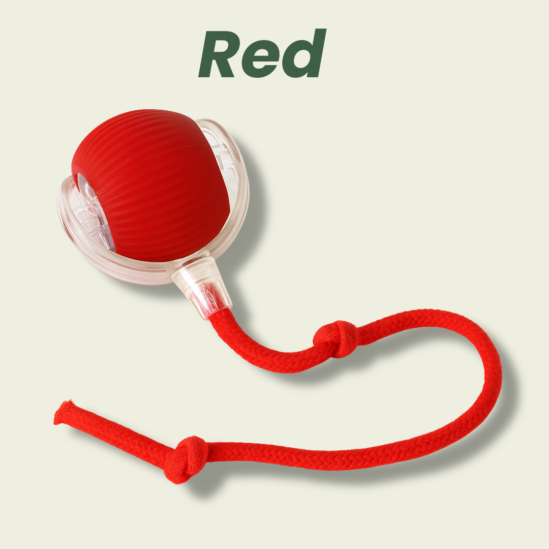 Magic Ball with Lights - Rechargeable, cat's favorite toy!