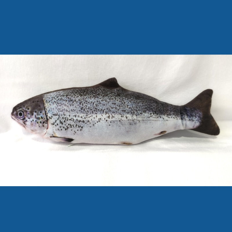 Electric Salmon
