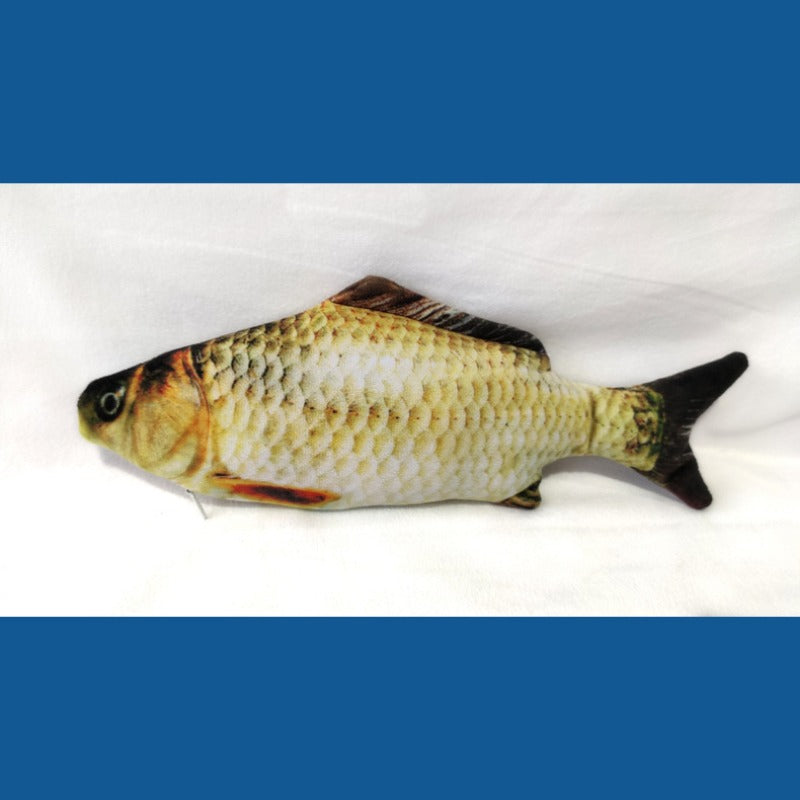 Electric Crucian Carp