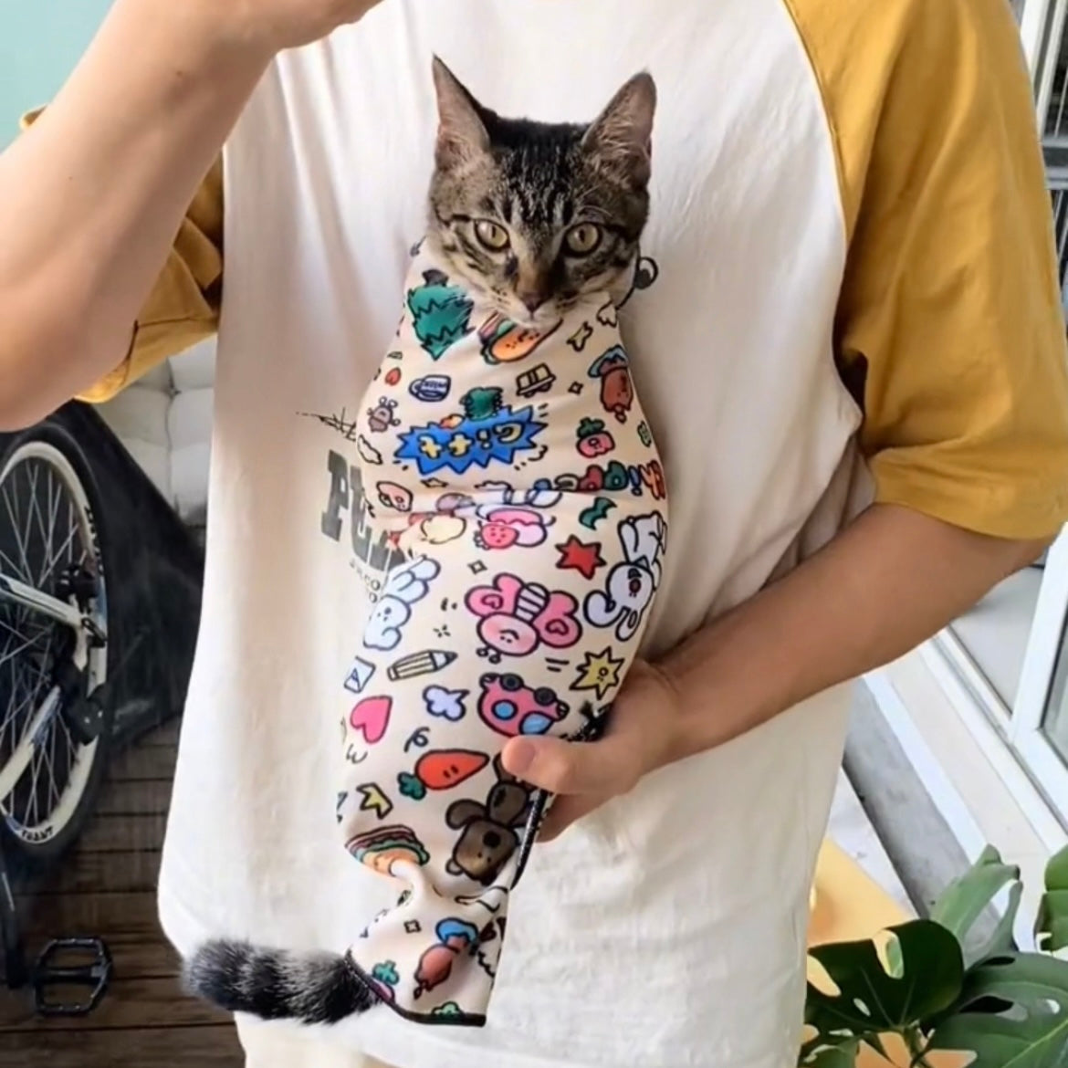 Self-Adhesive Cat Grooming Wrap