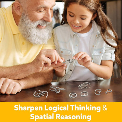 24-Piece Metal Brain Puzzle Set