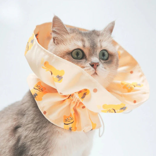 Safety Breakaway Cat Collar