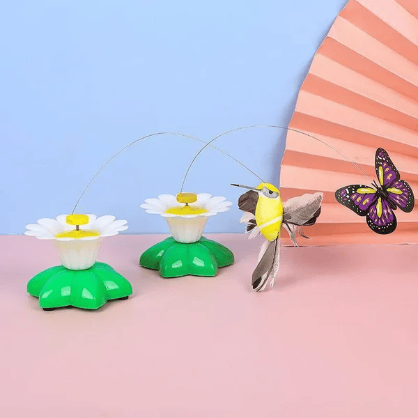 Butterfly+Hummingbird